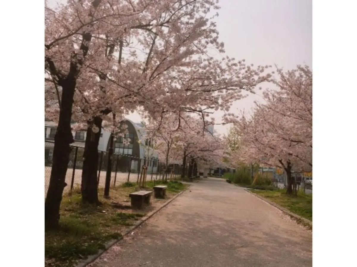 Hotel Halrotto Fukuoka Hakata - Vacation Stay 18612V